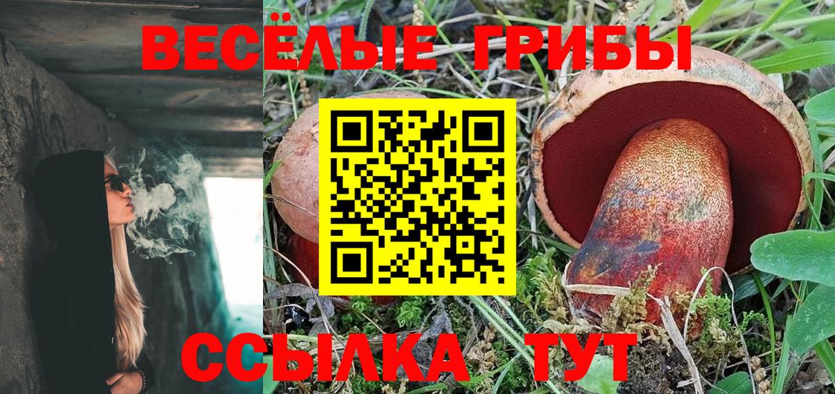 Галлюциногенные грибы MAGIC MUSHROOMS  Вход с VPN  Кумертау 